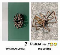 Mysteriöse Welt